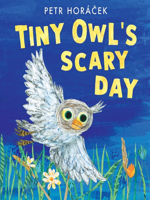 Title details for Tiny Owl's Scary Day by Petr Horácek - Wait list